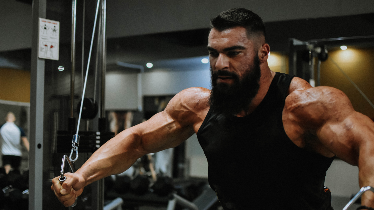 Hoe kan ik snel gespierd worden als beginner? – THE HUNGRY ELITE