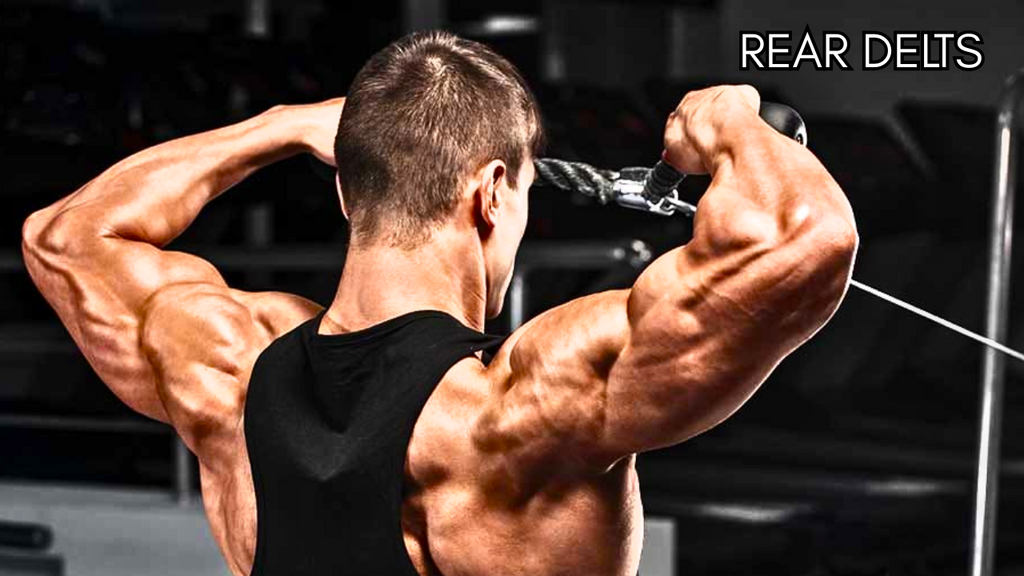 Best 4 Exercises for Rear Delts with Dumbbells and Cable!