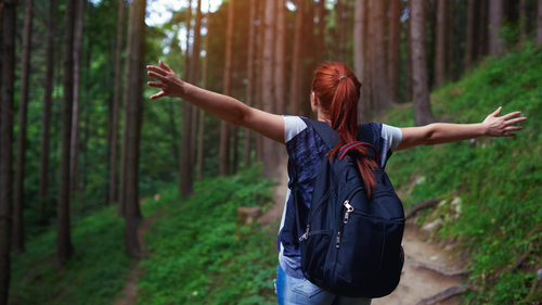 Hoeveel kan je afvallen met wandelen?