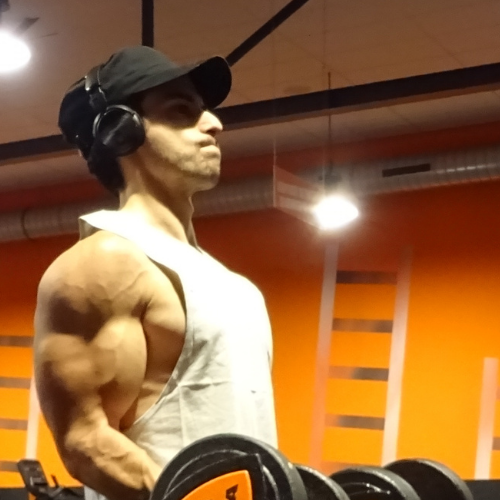 Welke bicep oefeningen zijn effectief?