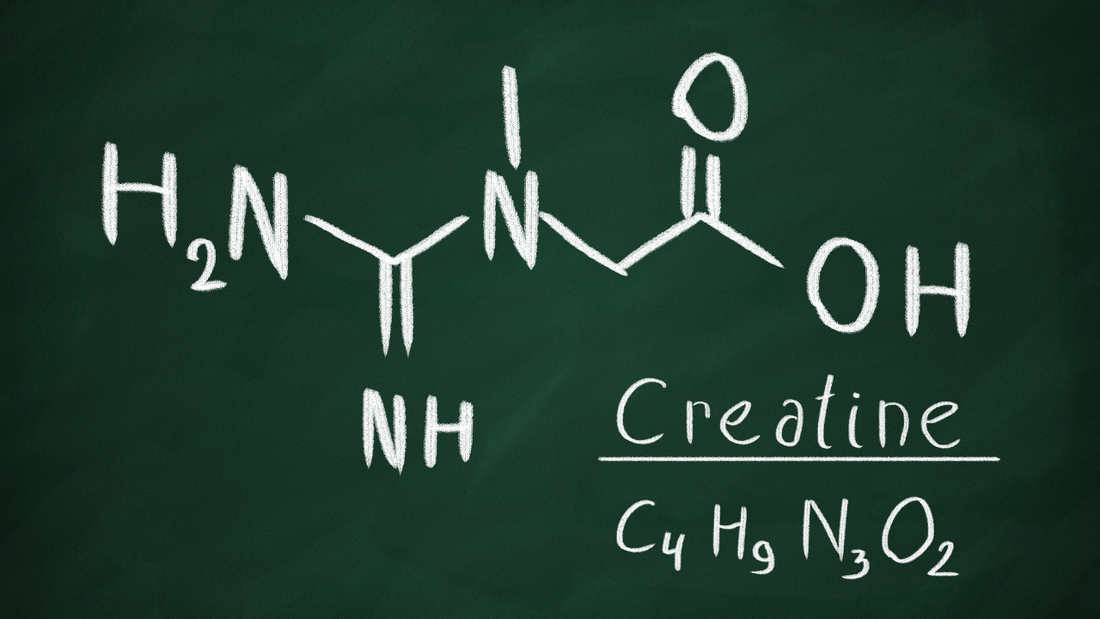 Wat is creatine? Wat doet het en zijn er bijwerkingen? (Met wetenschappelijke onderzoeksresultaten)
