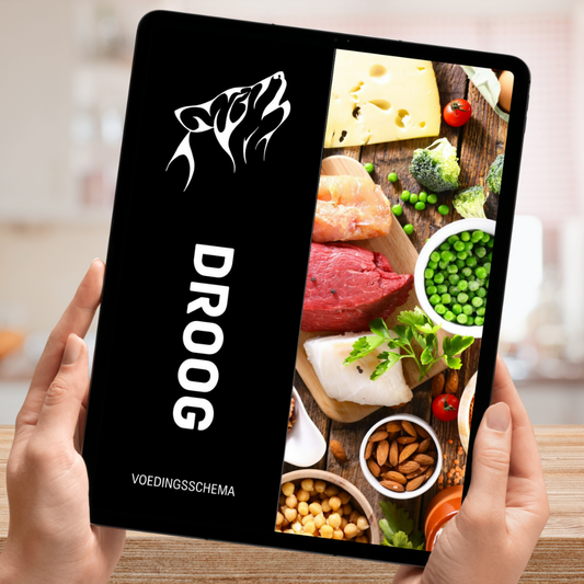 Droogtrainen Voedingsschema t/m 2400 Calorieën Per Dag