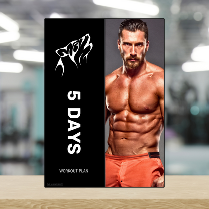 Workout Plan for Muscle Gain MEN Weekly Gym Routine