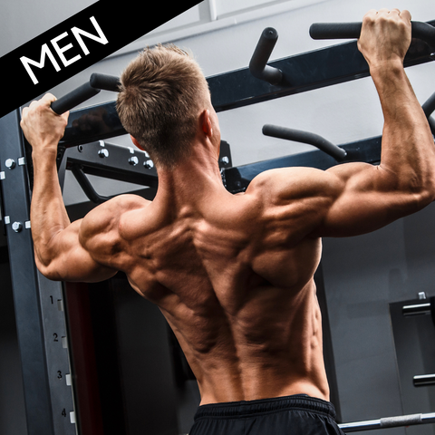 Workout Plan for Muscle Gain Men 2-6 Days per Week