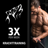 Elite Krachttraining Schema Spieropbouw Man